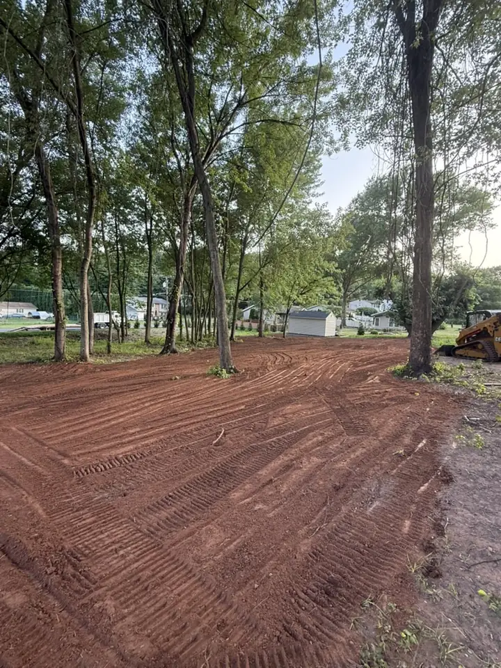 Cleared and graded lot among mature trees