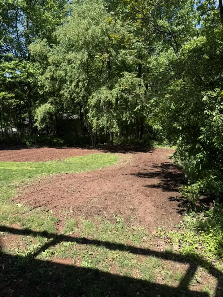 Wooded lot cleared and rough graded for construction